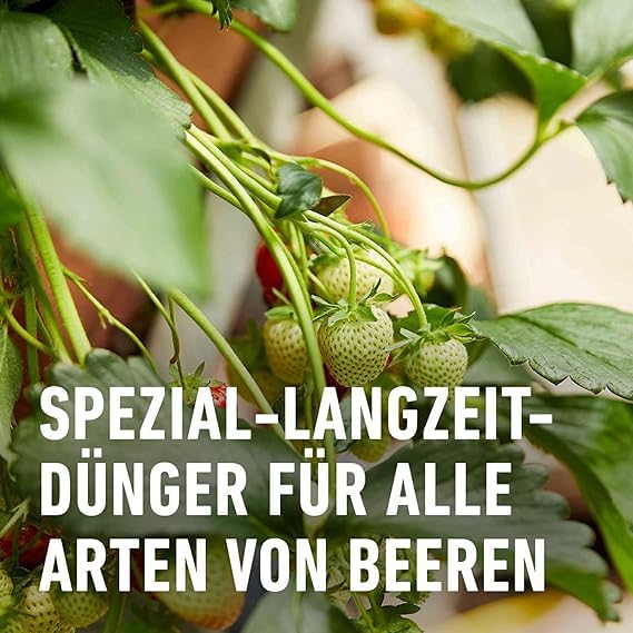 compo-beeren-langzeit-d-nger-2-kg-f-r-45-m-6-monate-wirkung image 7