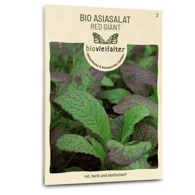 plantura-bio-asia-salat-red-giant-bio-saatgut image 1