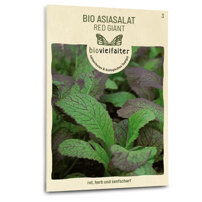 plantura-bio-asia-salat-red-giant-bio-saatgut image 1