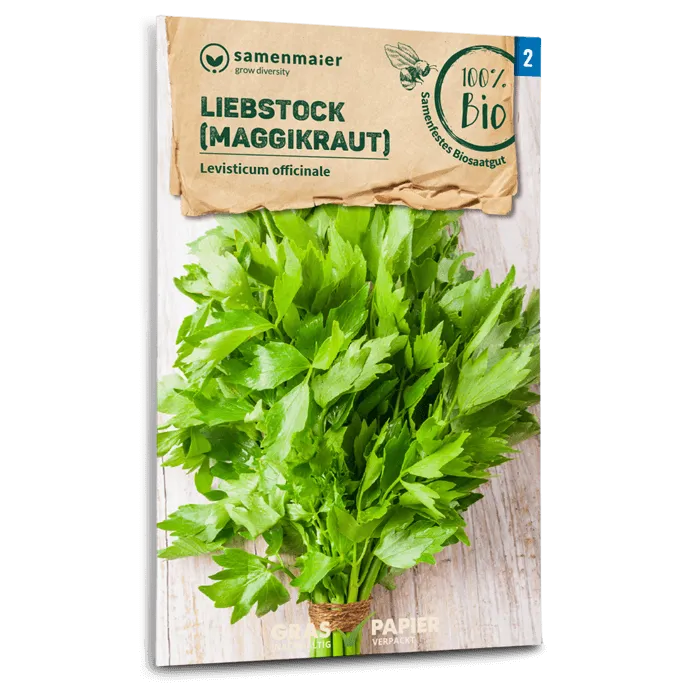 plantura-bio-liebst-ckel-maggikraut-bio-saatgut-mehrj-hrig image 1