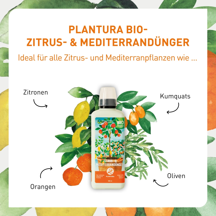 plantura-bio-zitrus-mediterrand-nger-800-ml-fl-ssigd-nger image 3