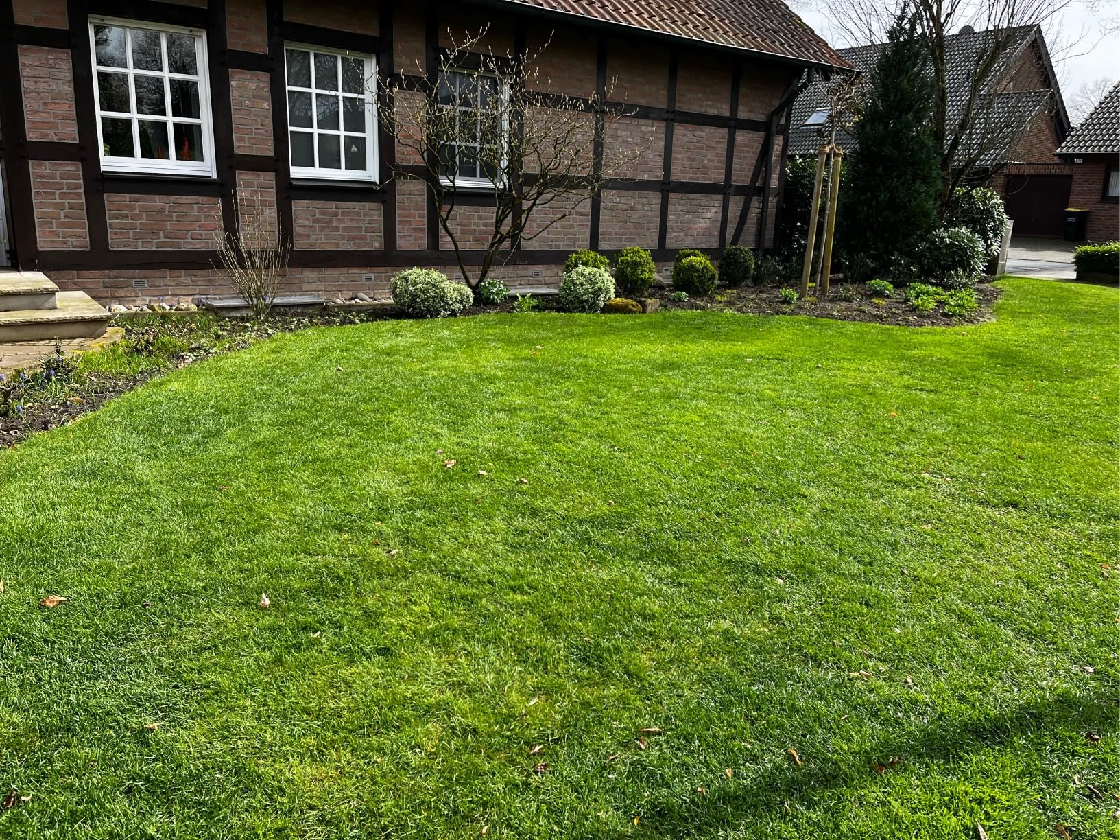 Wirkt wirklich gegen Moos