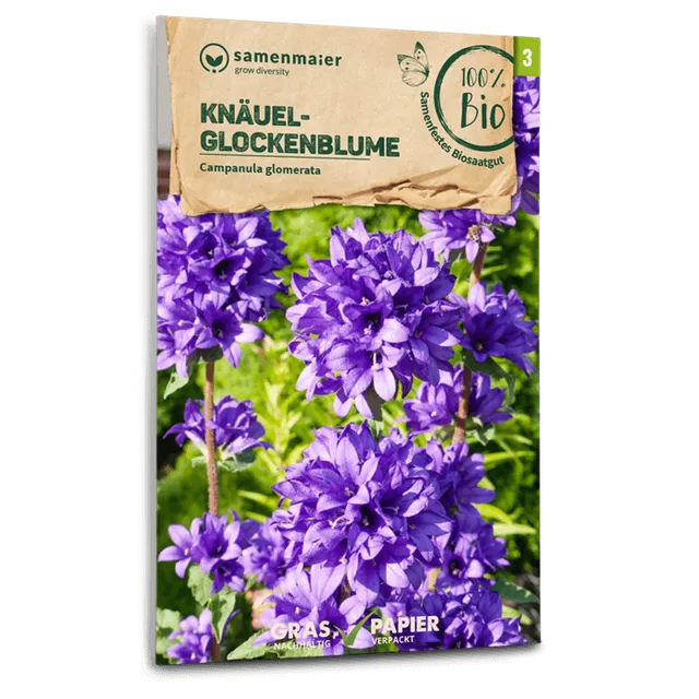 plantura-bio-kn-uel-glockenblume-wildblume-bio-saatgut image 1