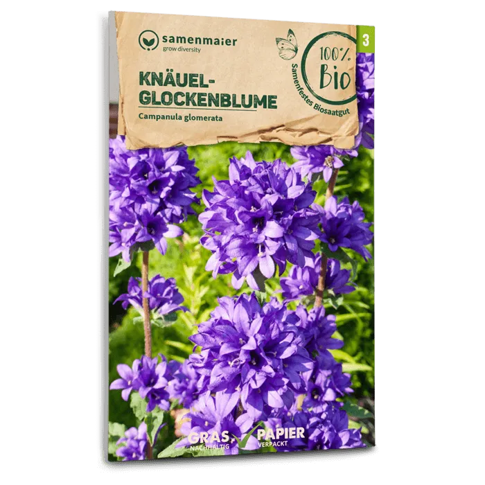 plantura-bio-kn-uel-glockenblume-wildblume-bio-saatgut image 1