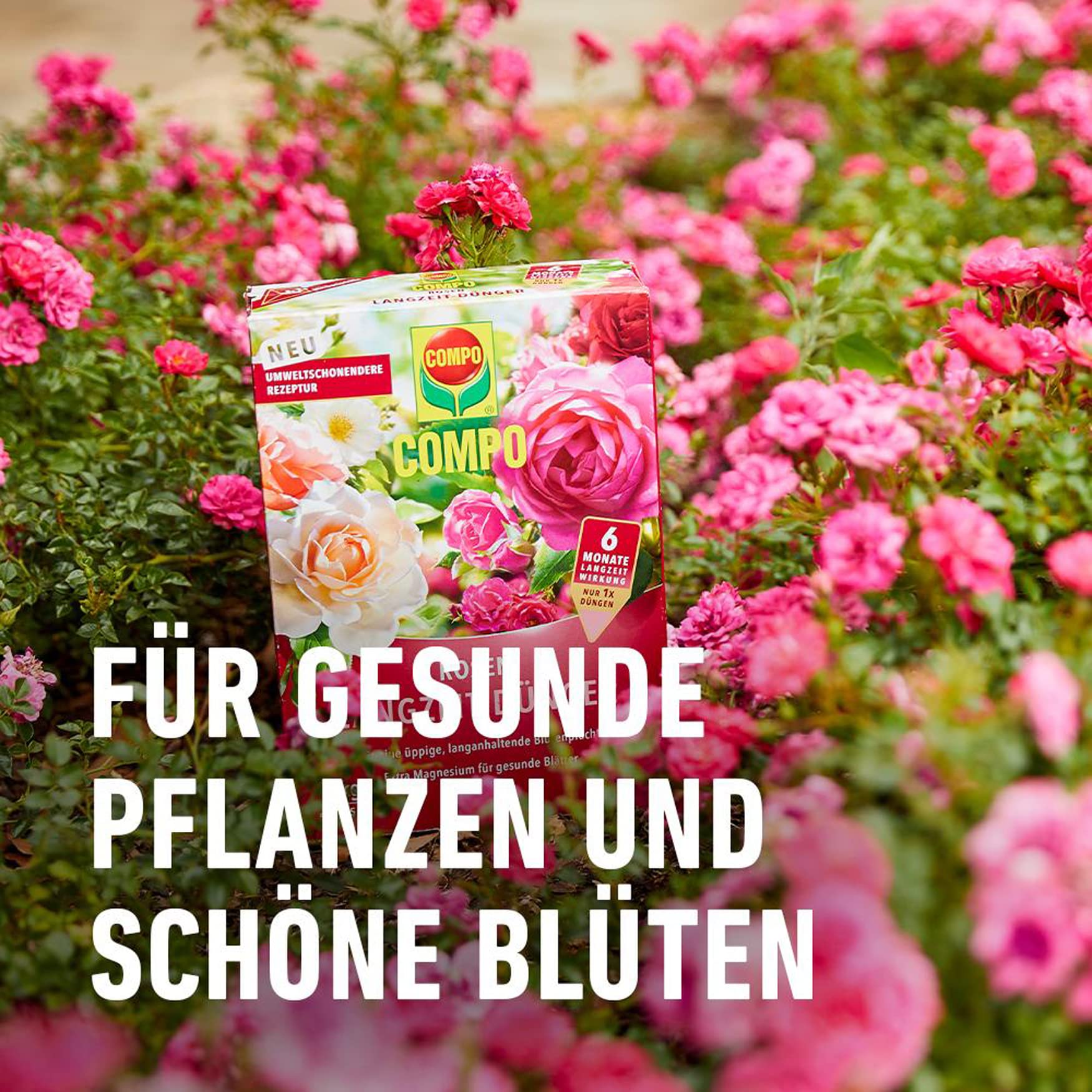 compo-rosen-langzeit-d-nger-850-g-6-monate-wirkung-f-r-11-m image 6