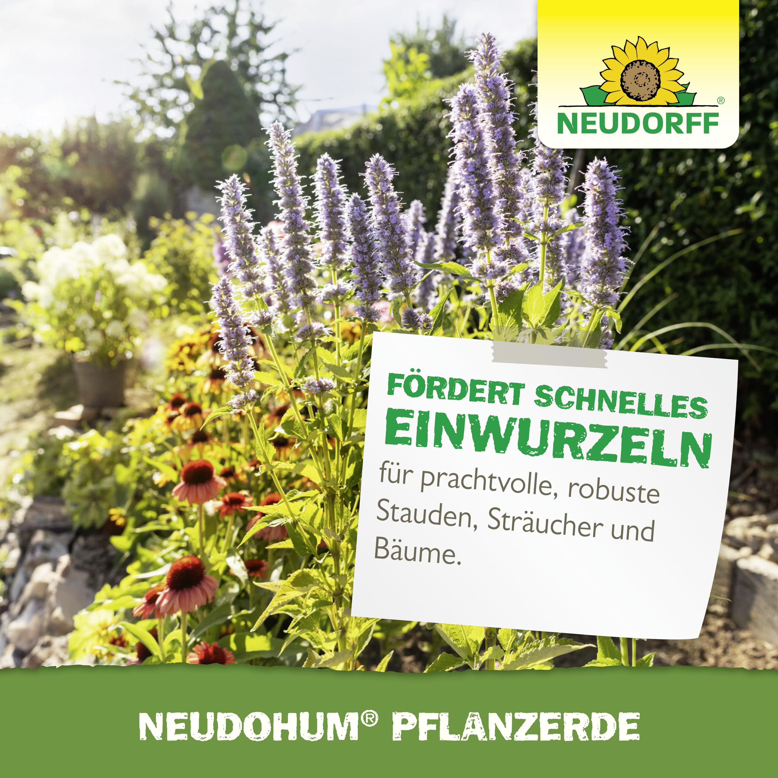 neudorff-neudohum-pflanzerde-75-l-torffrei-bio-vorged-ngt-f-r-4-wochen image 7
