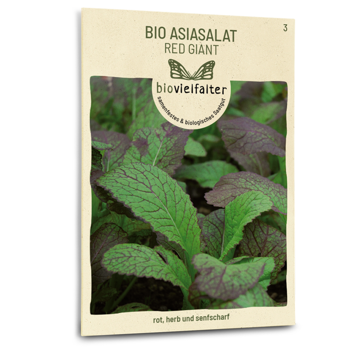 plantura-bio-asia-salat-red-giant-bio-saatgut image 1