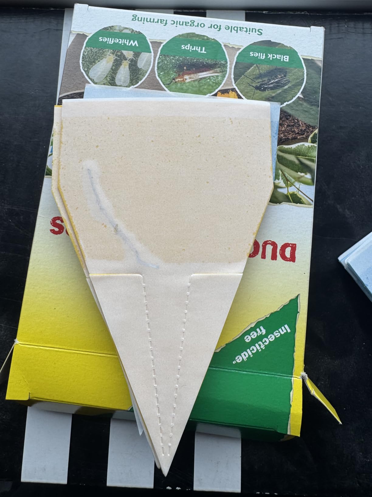Must-have nach jedem Umtopfen