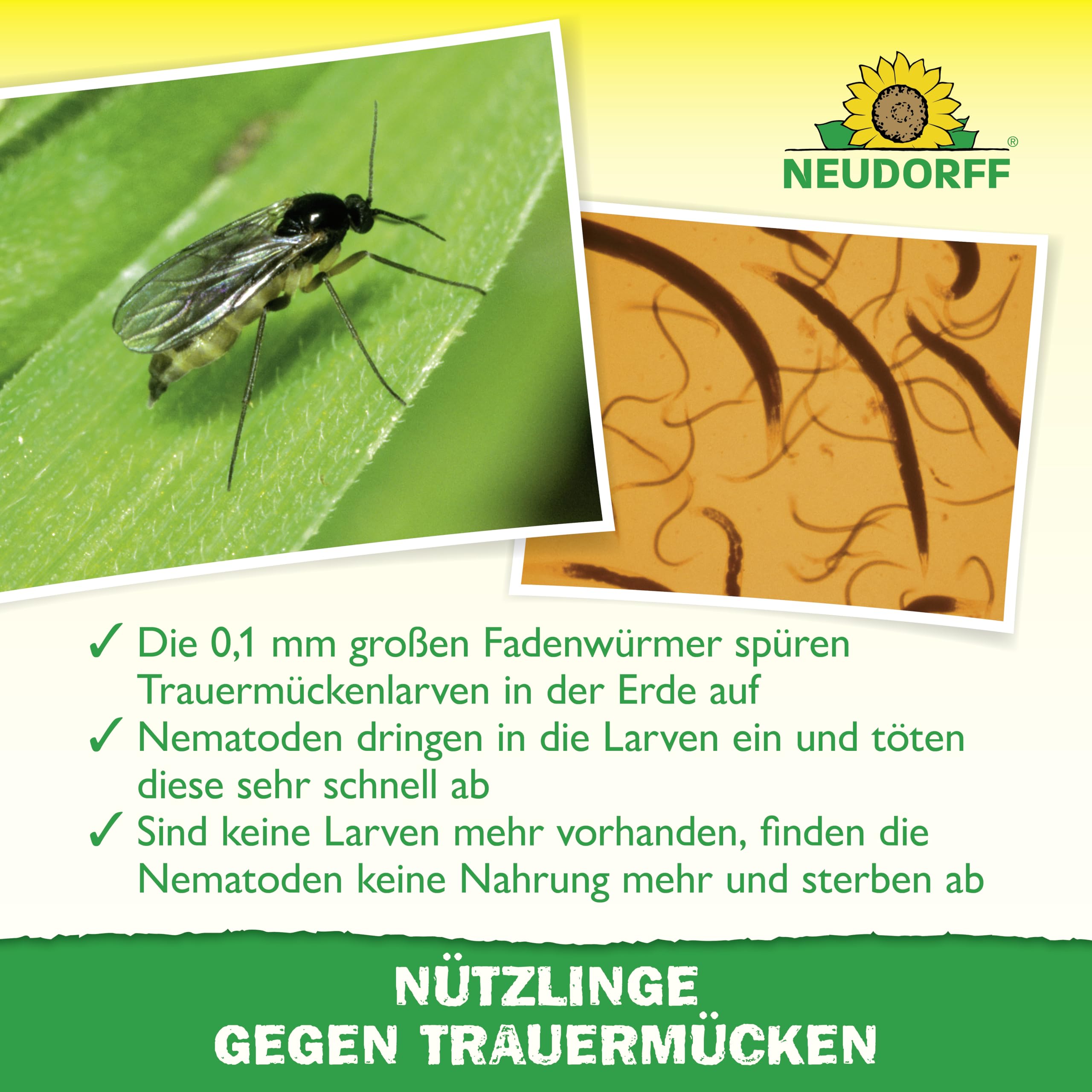 neudorff-n-tzlinge-gegen-trauerm-cken-5-mio-sf-nematoden-f-r-50-pflanzen image 4