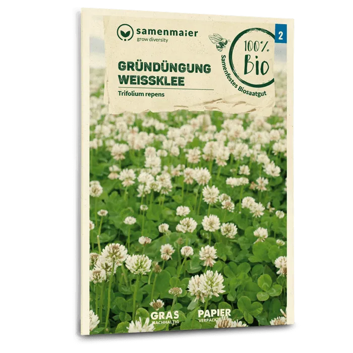 plantura-bio-wei-klee-gr-nd-ngung-bio-saatgut-bodendecker image 1