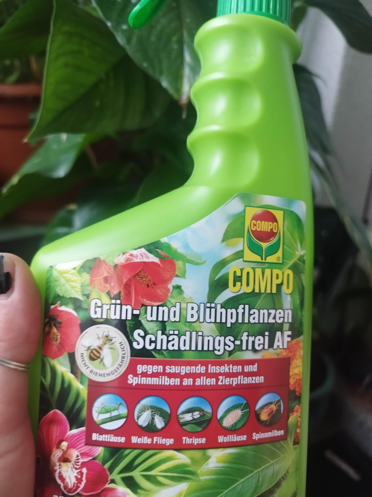 Praktisches Fertigspray