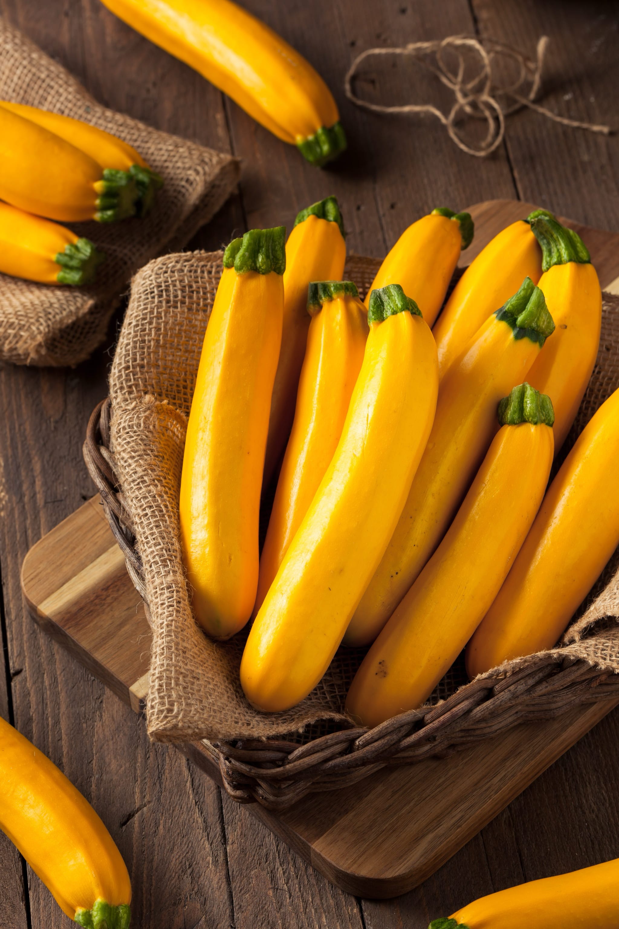plantura-bio-zucchini-gold-rush-bio-saatgut image 2