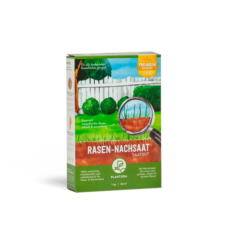 plantura-rasen-nachsaat-1-kg-premium-saatgutmischung image 1