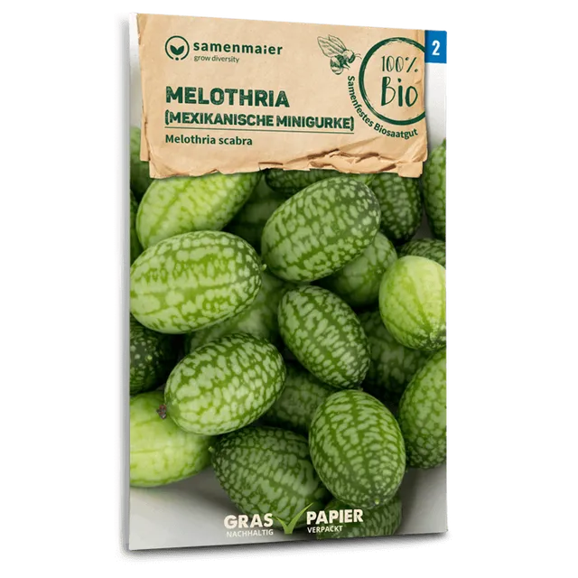plantura-bio-mexikanische-minigurke-cucamelon-bio-saatgut image 1