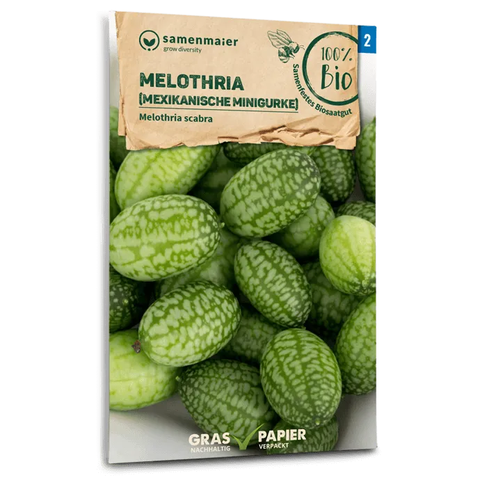 plantura-bio-mexikanische-minigurke-cucamelon-bio-saatgut image 1