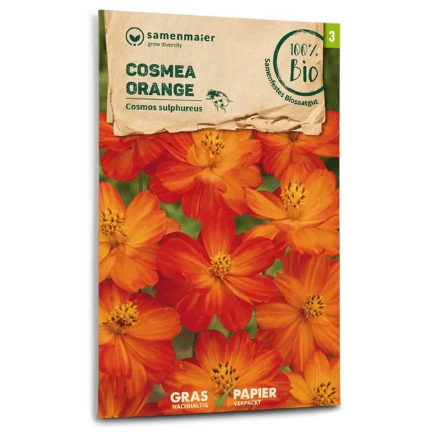 plantura-bio-cosmea-orange-bio-blumensamen image 1