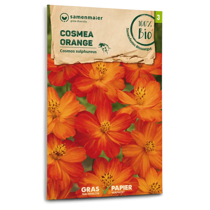 plantura-bio-cosmea-orange-bio-blumensamen image 1