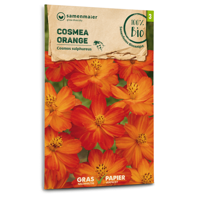 plantura-bio-cosmea-orange-bio-blumensamen image 1