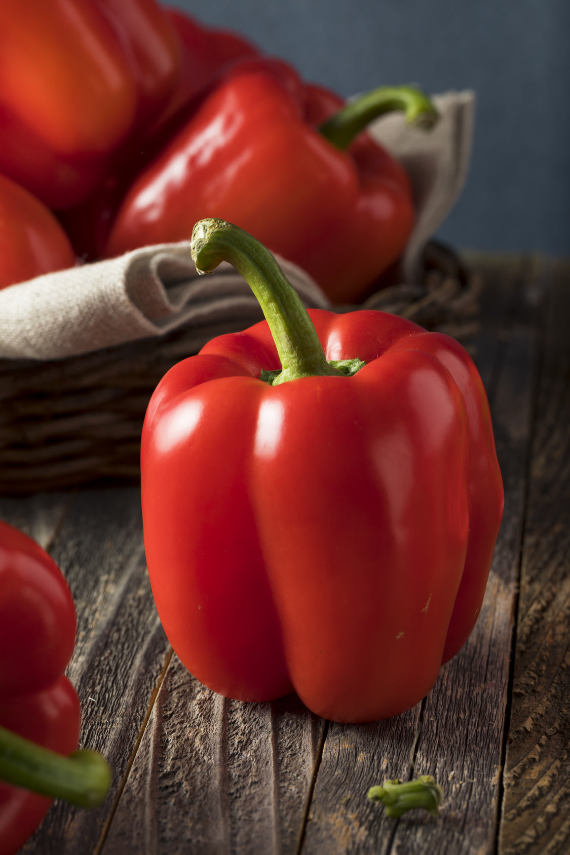 plantura-bio-paprika-yolo-wonder-saatgut image 2