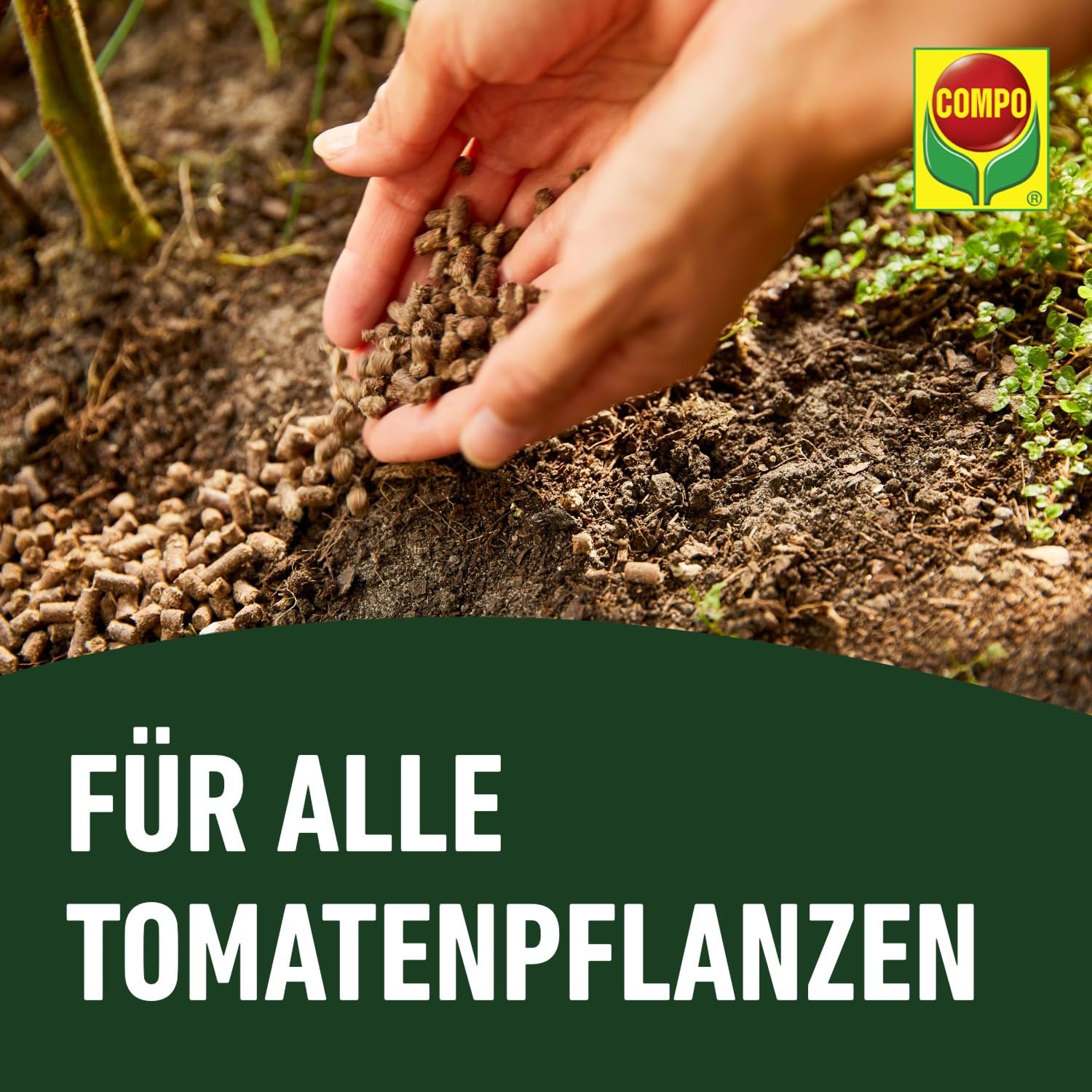 compo-bio-tomaten-langzeitd-nger-mit-schafwolle-750-g-5-monate image 8