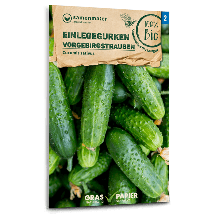 plantura-bio-einlegegurke-vorgebirgstrauben-bio-saatgut image 1