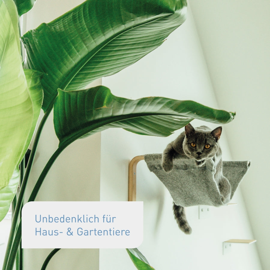 plantura-bio-zimmer-gr-npflanzend-nger-800-ml-bio-fl-ssigd-nger image 6