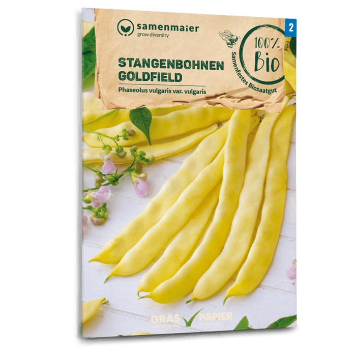 plantura-bio-stangenbohne-goldfield-gelb-bio-saatgut image 1