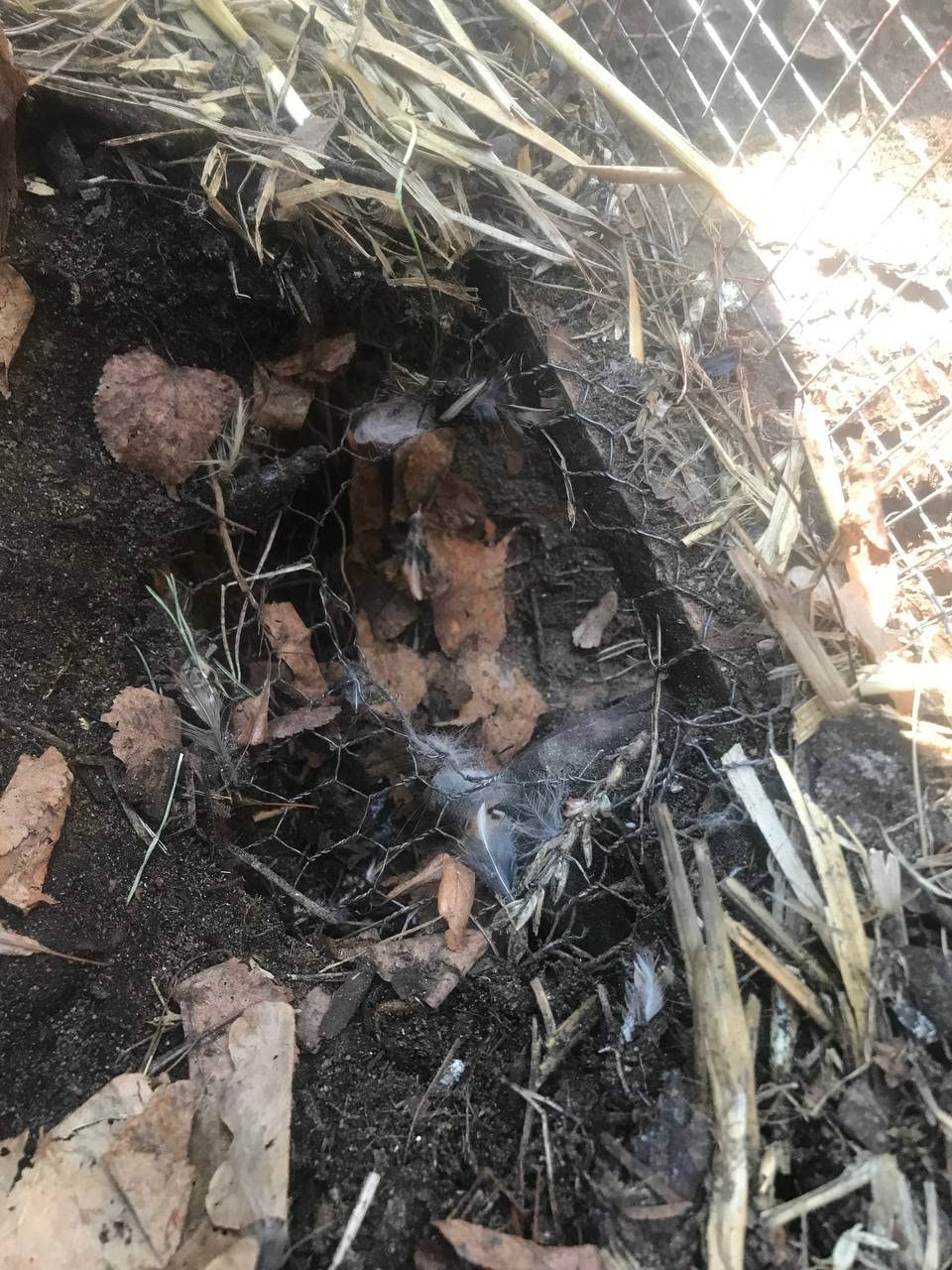 Praktisch im Garten