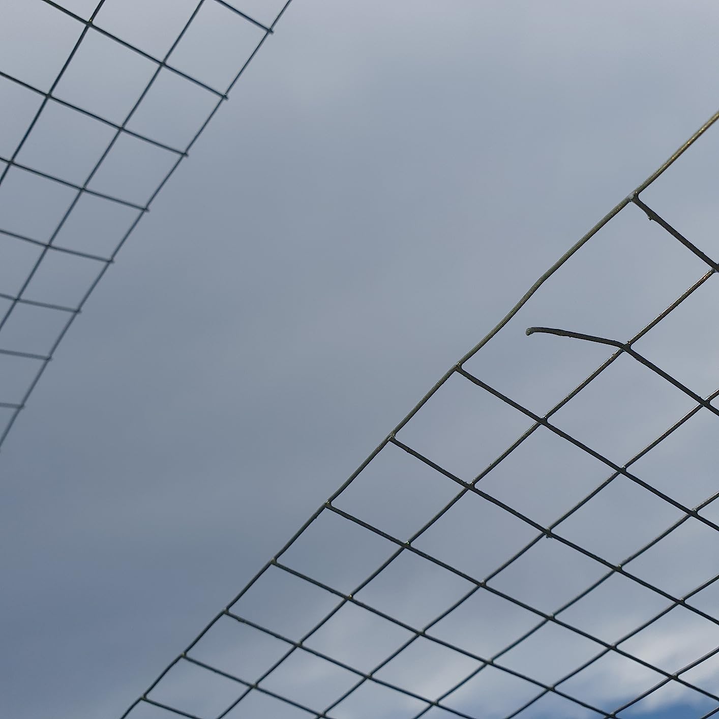 Schneller Versand, super Preis-Leistung für 20 Meter