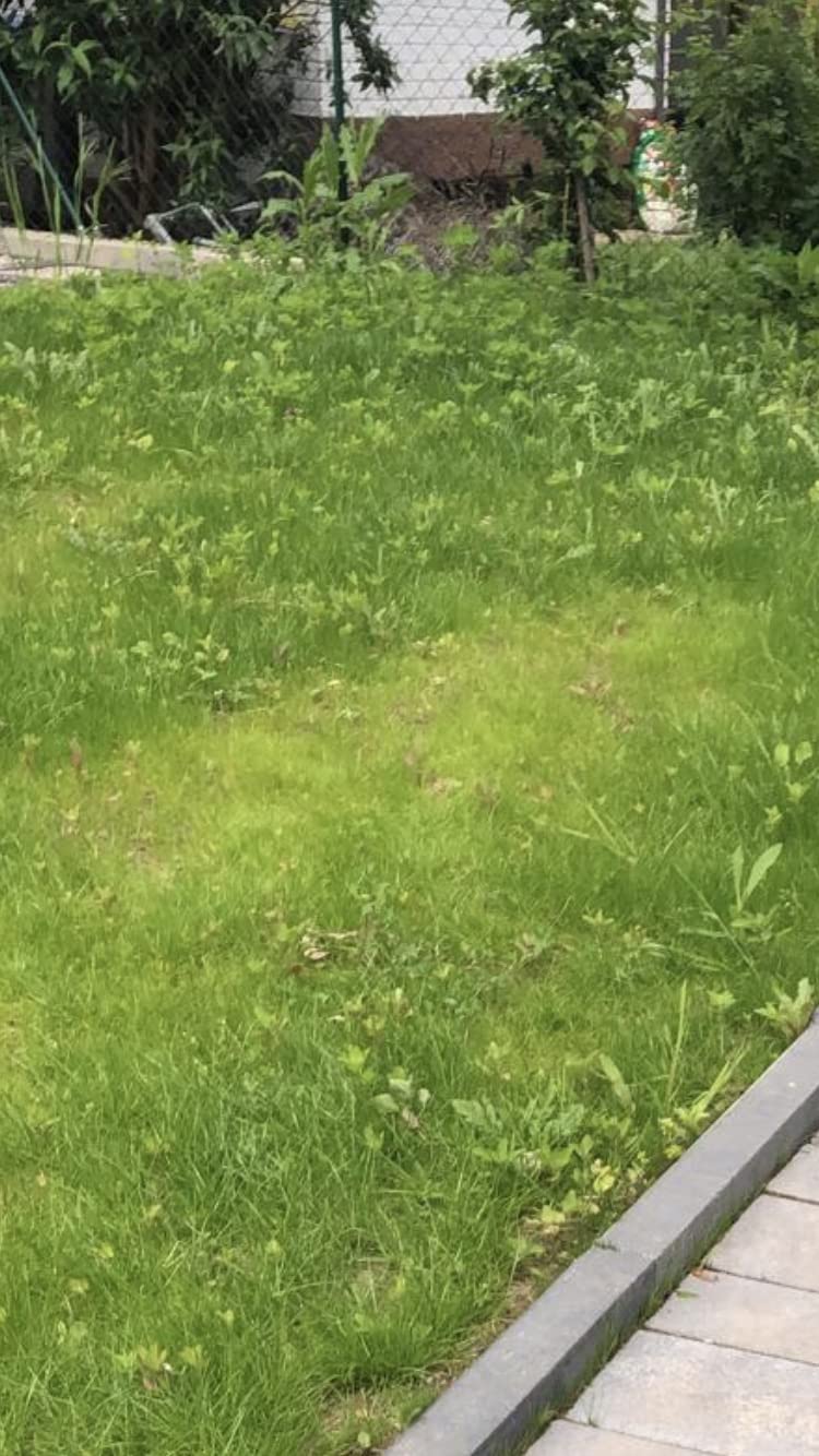 Der Hammer für große Flächen