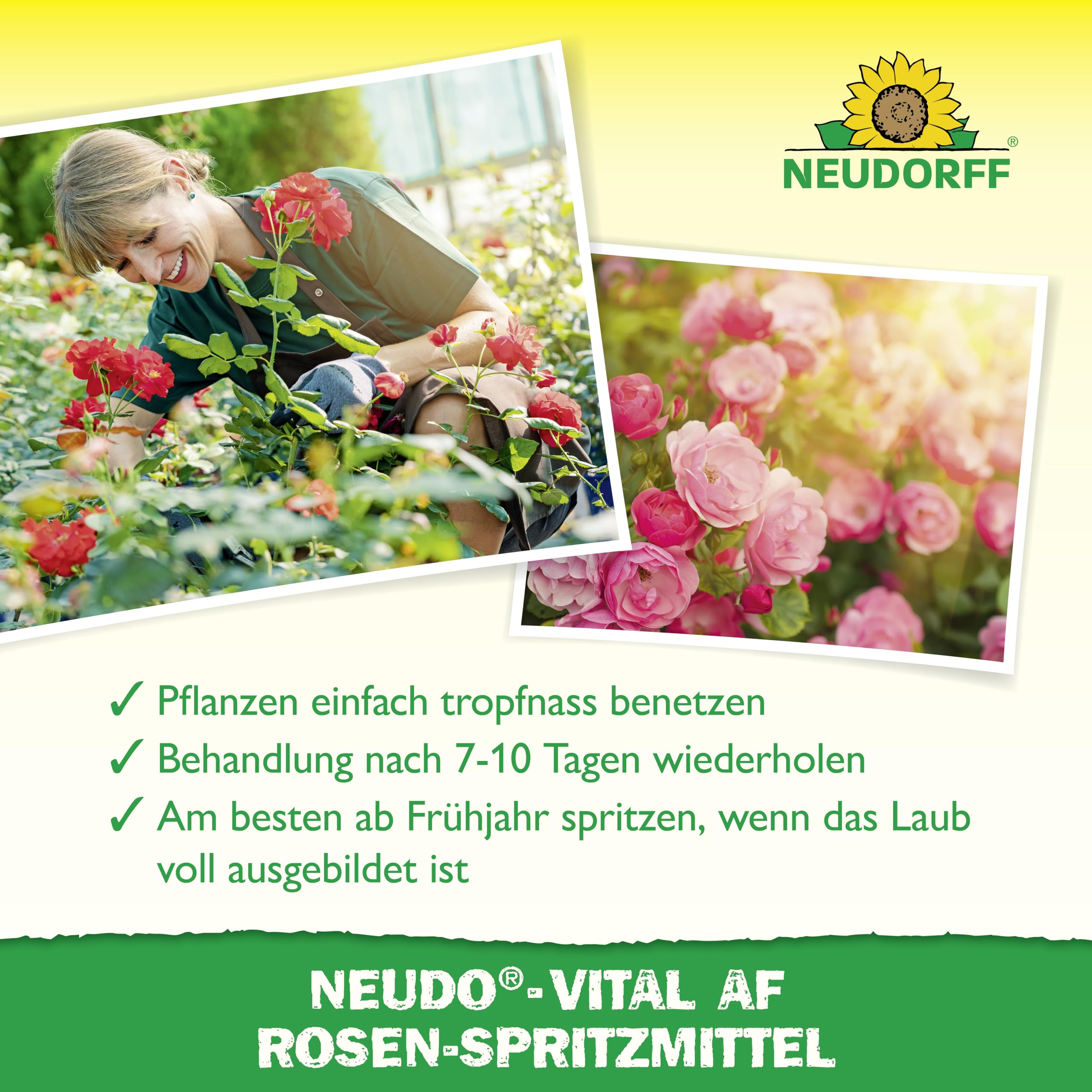 neudorff-neudo-vital-af-rosen-spritzmittel-500-ml-anwendungsfertig image 4