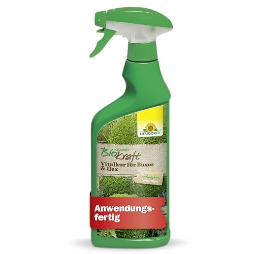 neudorff-biokraft-vitalkur-f-r-buxus-ilex-af-spray-500-ml image 8