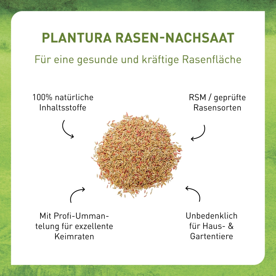 plantura-rasen-nachsaat-1-kg-premium-saatgutmischung image 3