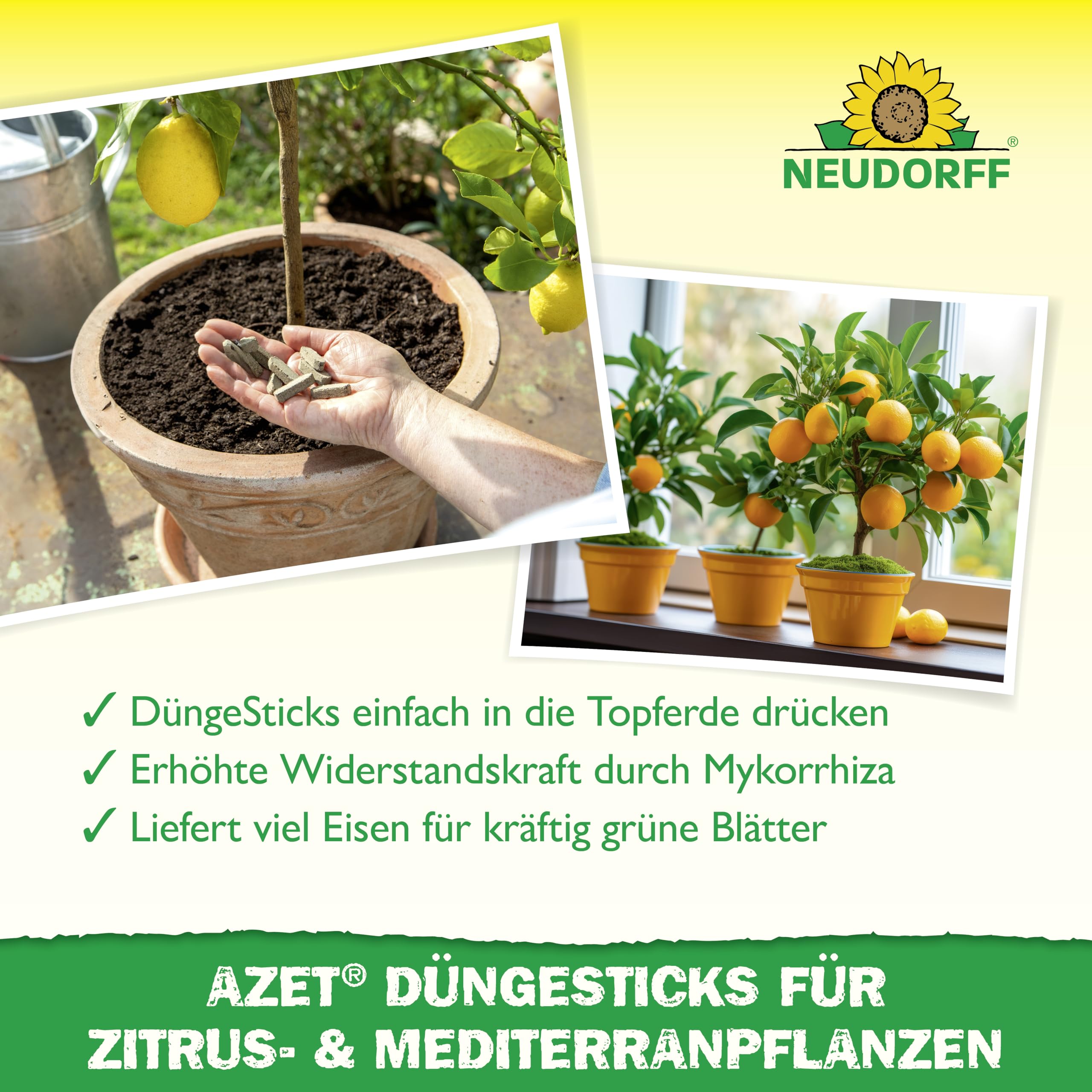 neudorff-azet-d-ngesticks-zitrus-und-mediterranpflanzen-40-st-ck image 4