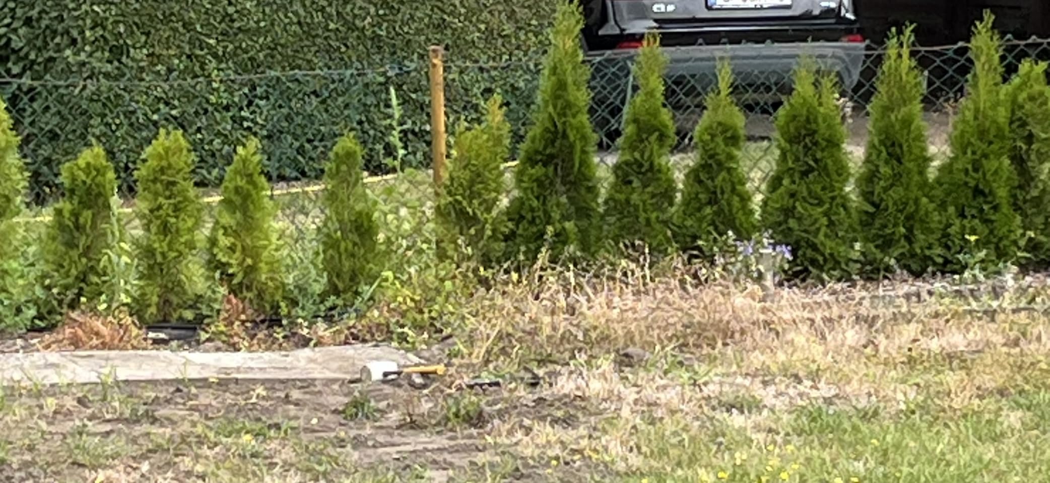 Hecke schiebt endlich