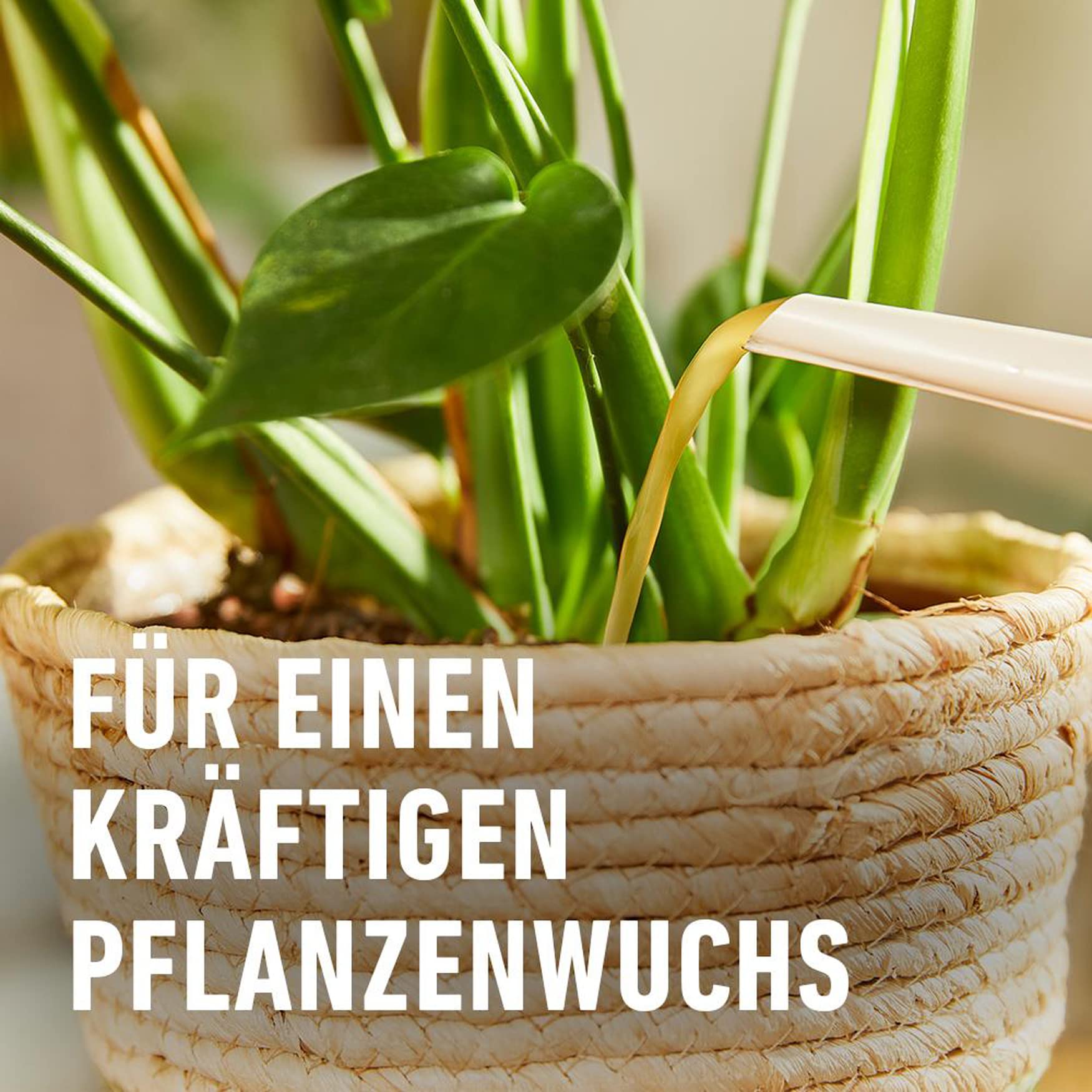 compo-bio-gr-npflanzen-und-palmend-nger-500-ml-fl-ssigd-nger image 5