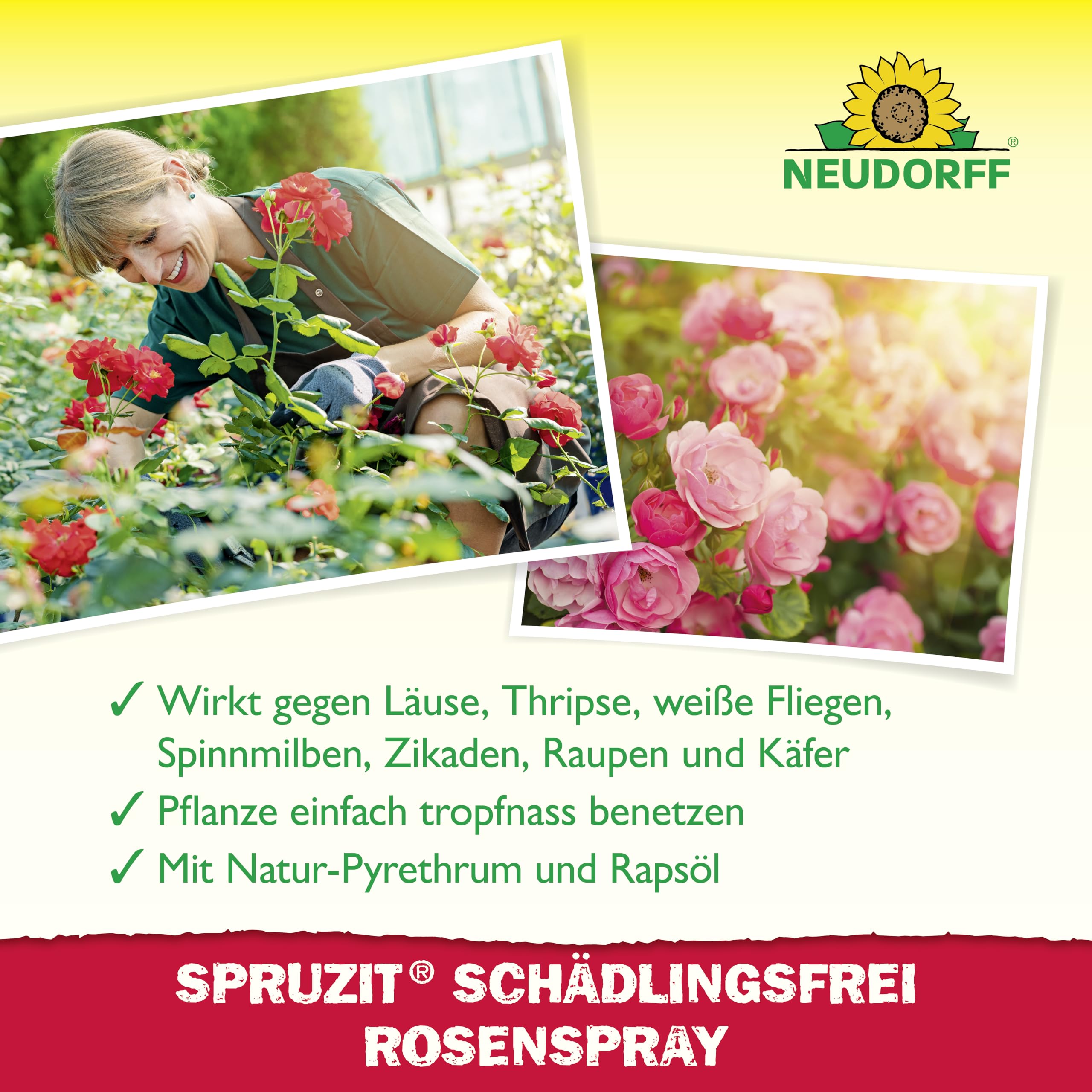 neudorff-spruzit-sch-dlingsfrei-rosenspray-750-ml-anwendungsfertig image 4