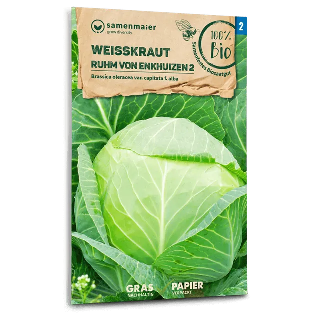 plantura-bio-wei-kohl-ruhm-von-enkhuizen-2-bio-saatgut-f-r-feste-k-pfe image 1