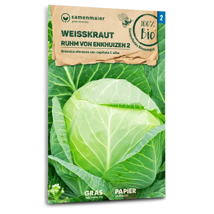 plantura-bio-wei-kohl-ruhm-von-enkhuizen-2-bio-saatgut-f-r-feste-k-pfe image 1