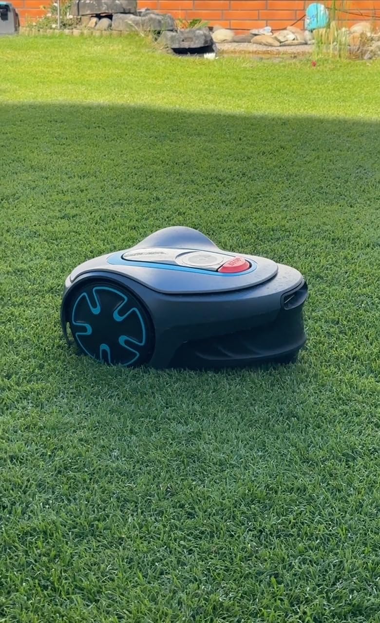 Mähroboter-Rasen endlich sattgrün