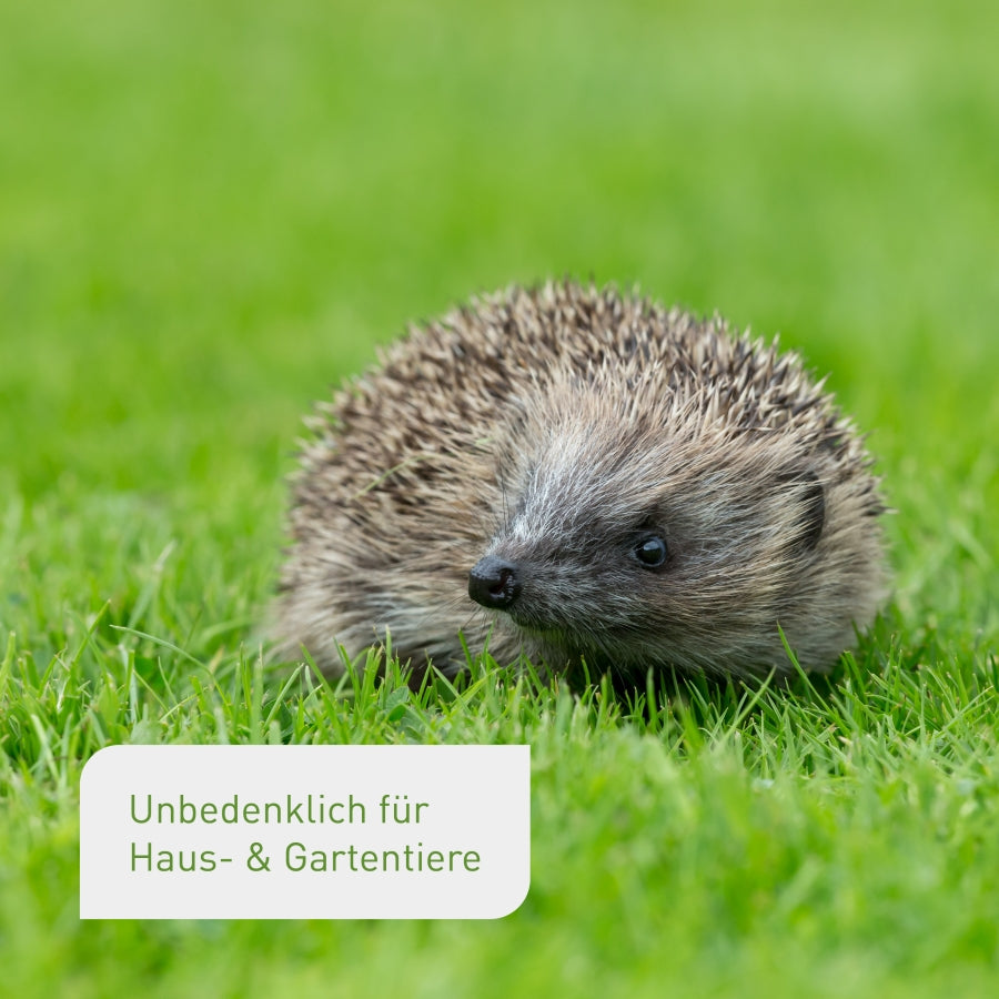 plantura-rasensand-15-kg-premium-quarzsand image 6
