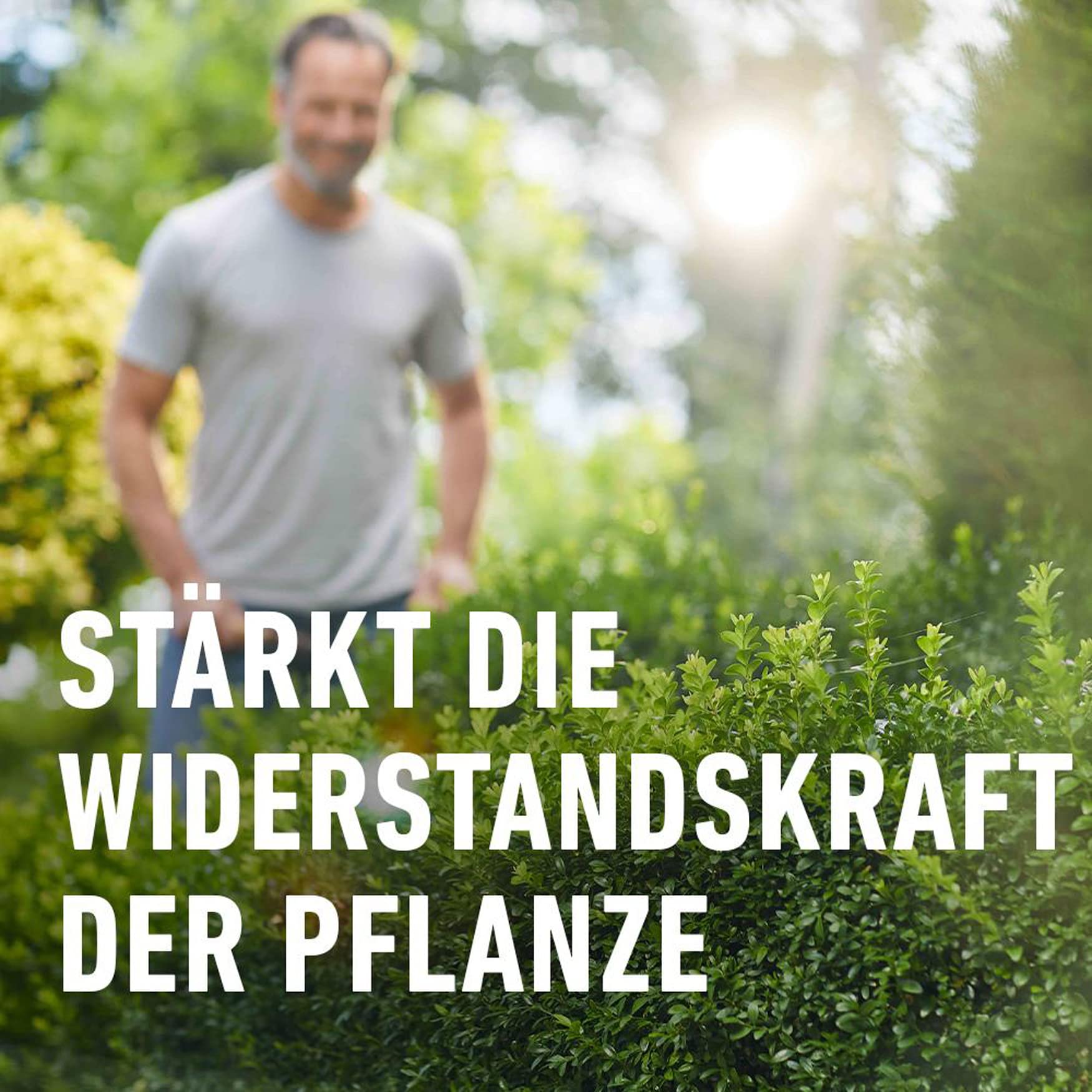 compo-buchsbaum-und-ilexd-nger-1-l-fl-ssigd-nger-mit-extra-eisen image 5