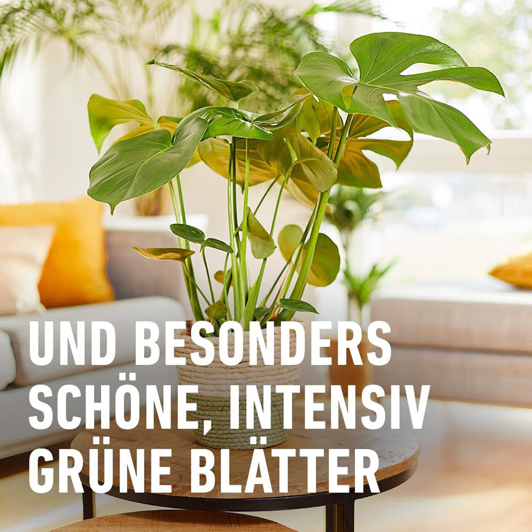 compo-bio-gr-npflanzen-und-palmend-nger-500-ml-fl-ssigd-nger image 6