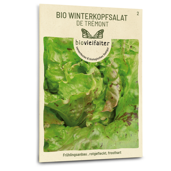 plantura-bio-winterkopfsalat-de-tr-mont-bio-saatgut image 1