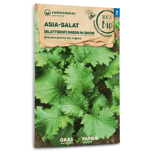 plantura-bio-asia-salat-green-in-snow-bio-saatgut image 1