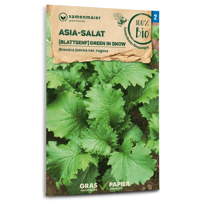 plantura-bio-asia-salat-green-in-snow-bio-saatgut image 1