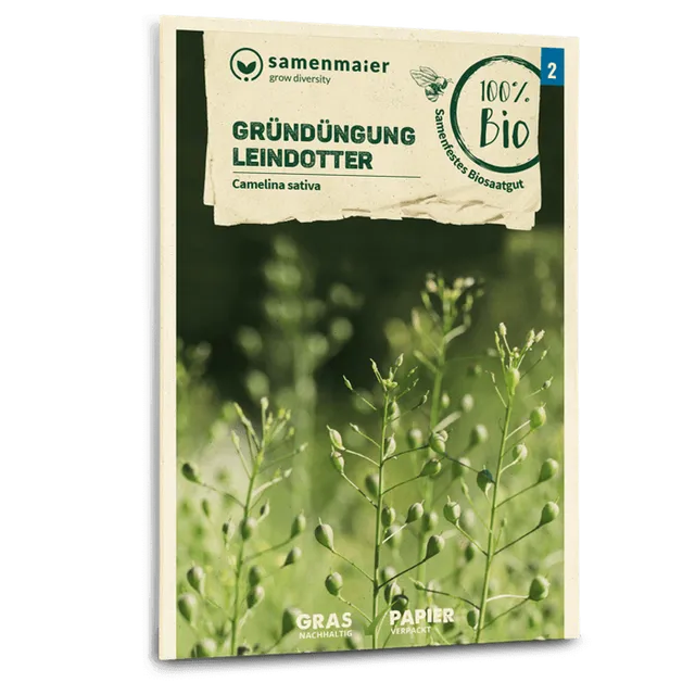 plantura-bio-leindotter-gr-nd-ngung-bio-saatgut image 1
