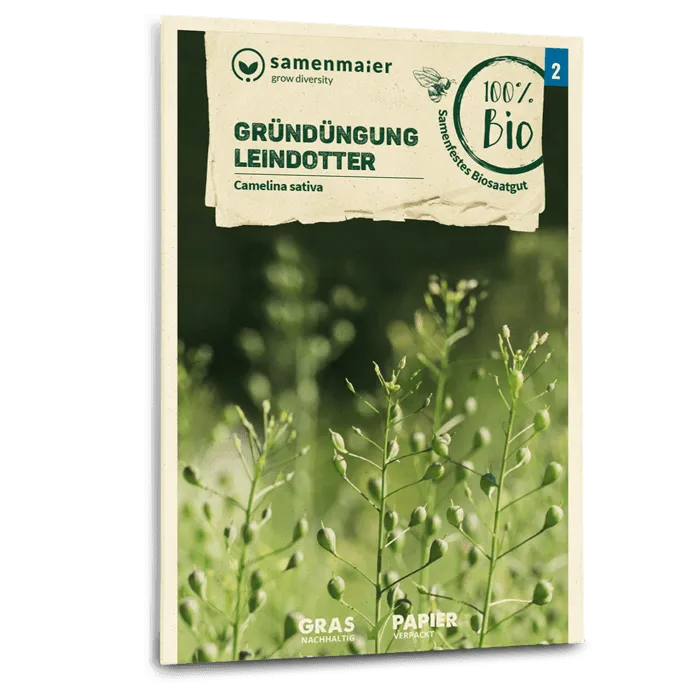 plantura-bio-leindotter-gr-nd-ngung-bio-saatgut image 1