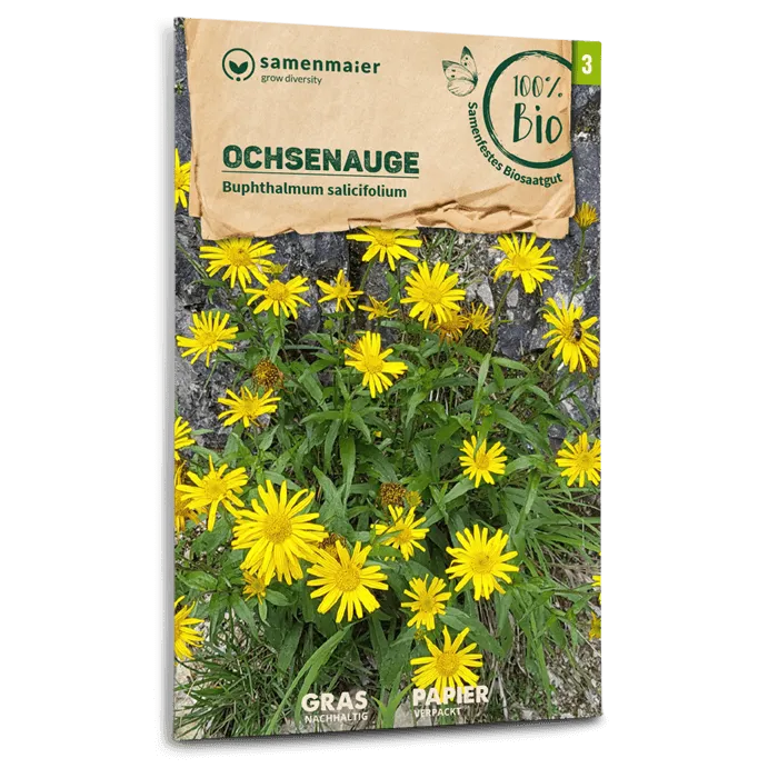 plantura-bio-ochsenauge-wildblume-bio-saatgut image 1