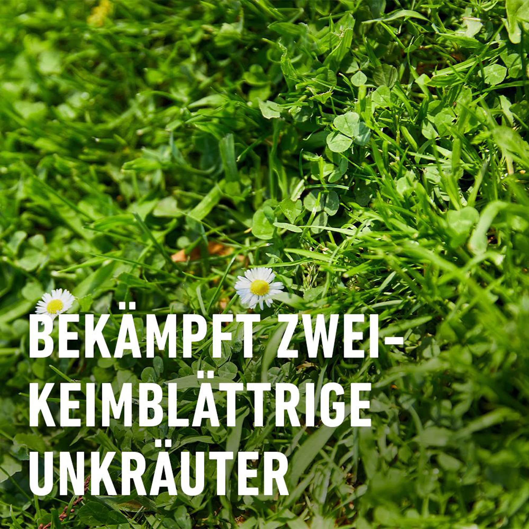compo-banvel-quattro-af-rasenunkrautvernichter-1000-ml-spr-hflasche image 3
